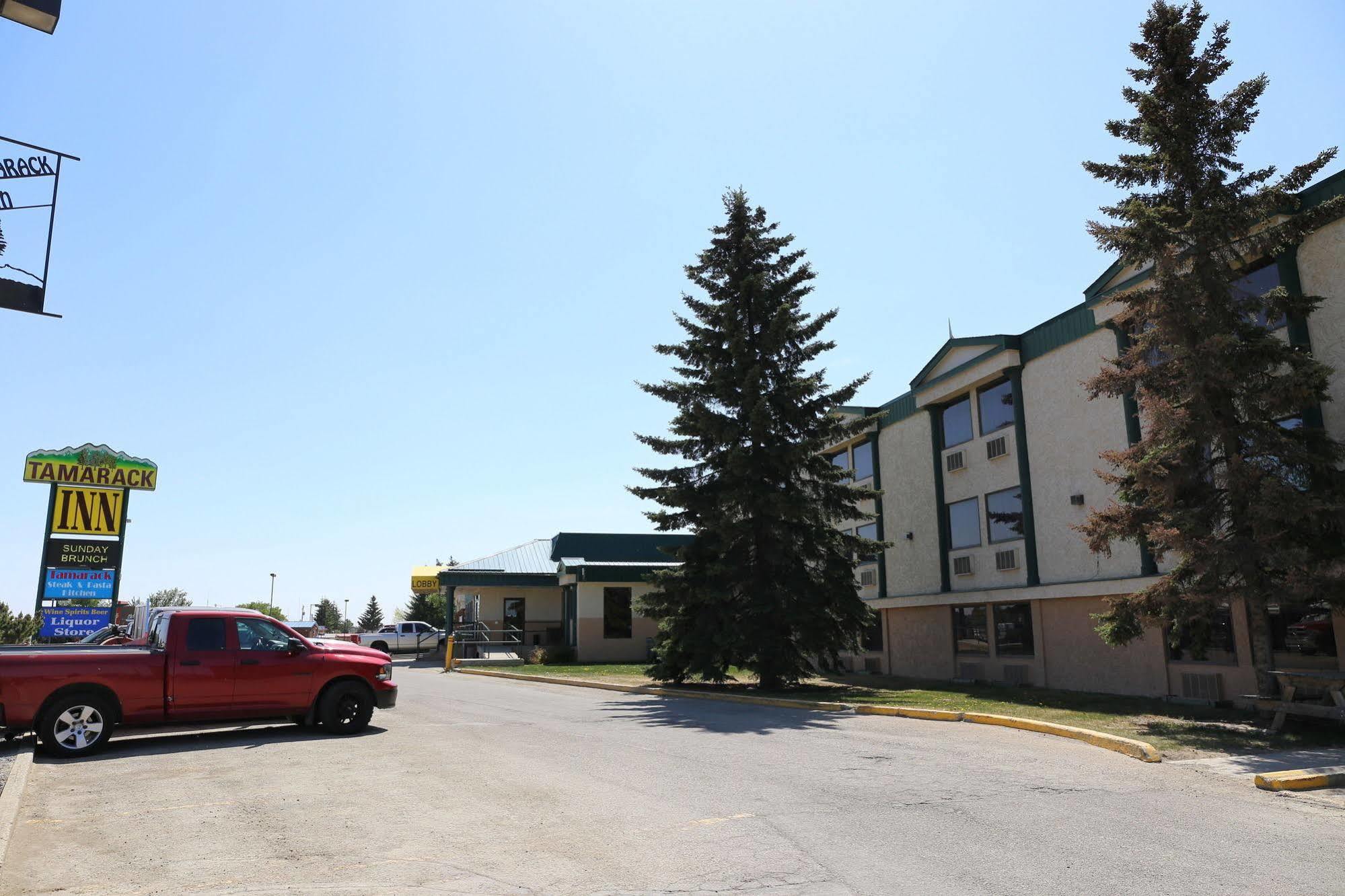 Tamarack Motor Inn Rocky Mountain House Exterior photo